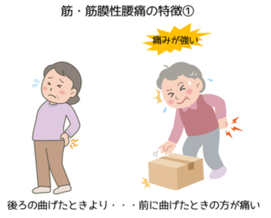 筋・筋膜性腰痛の特徴①