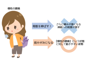 腰痛姿勢　鍼灸院　京都　烏丸
